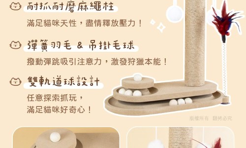 台州市荷叶宝贝婴儿用品有限公司招聘-台州市荷叶宝贝婴儿用品有限公司网 - 为你提供荷叶健康科技有限公司、荷叶健康科技有限公司