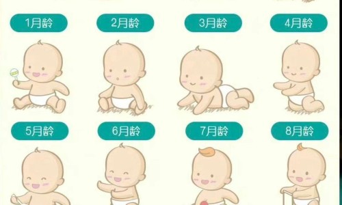 台州市荷叶宝贝婴儿用品有限公司网 - 为你提供荷叶健康科技有限公司、荷叶健康科技有限公司